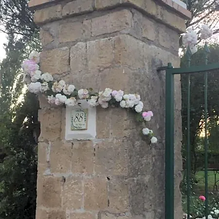 Giunti &