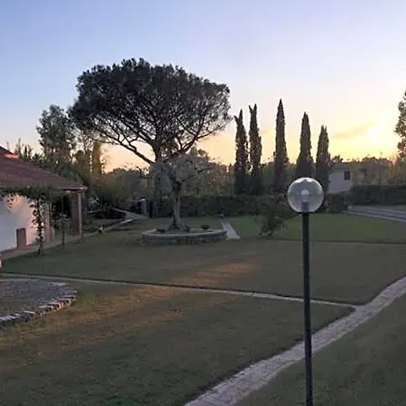 Giunti &